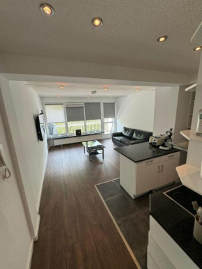 Loft living Appartement am Hohenzollernring